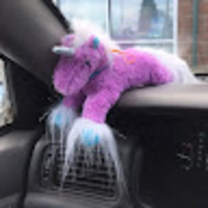 Meet your Posher, Jessi